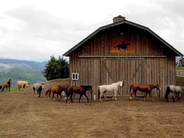 Hôtel Bull Hill Guest Ranch à Marble Extérieur photo