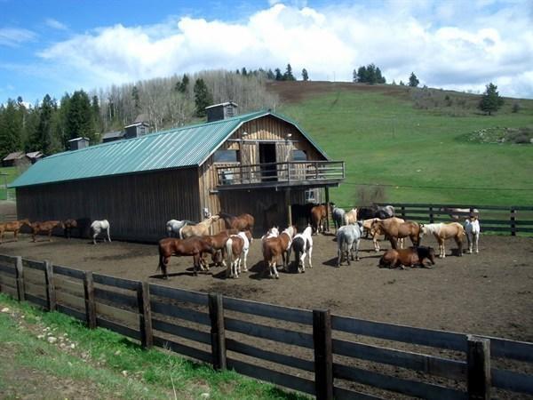 Hôtel Bull Hill Guest Ranch à Marble Extérieur photo